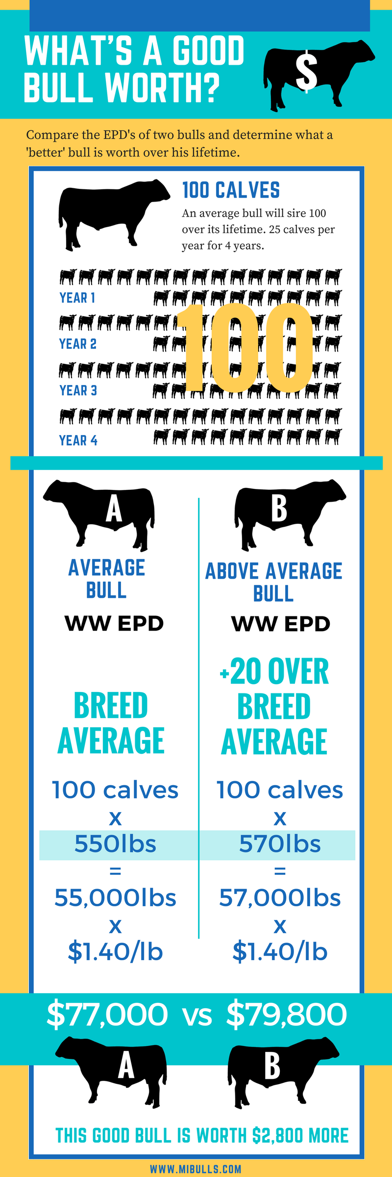 Infographic - What is a good bull worth? (CE)
